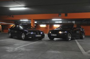 318is QP, original, Individual! - 3er BMW - E36