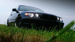 E46 Compact Black Venom - 3er BMW - E46