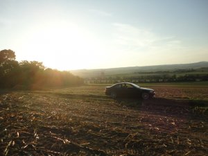 E46 Coupe FL Clubsport Edition - 3er BMW - E46