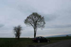 E46 Coupe FL Clubsport Edition - 3er BMW - E46