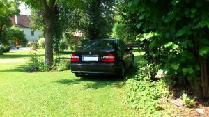 e46 318d limo - 3er BMW - E46 e46 318d limo - 3er BMW - E46