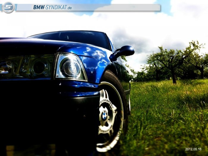 BMW-Syndikat Fotostorie