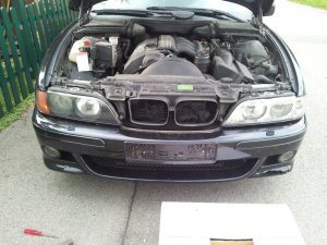 E39 schnuppert allgäuer Luft - 5er BMW - E39 E39 schnuppert allgäuer Luft - 5er BMW - E39