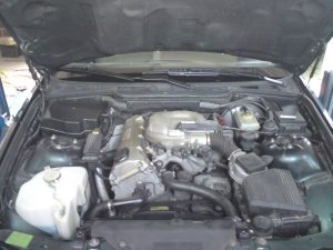 "Grner Hpfer" 316i - 3er BMW - E36