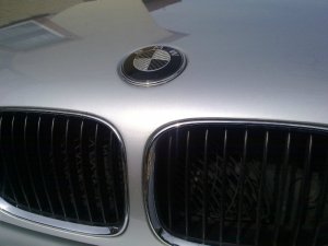 Mein treuer Begleiter - 5er BMW - E39