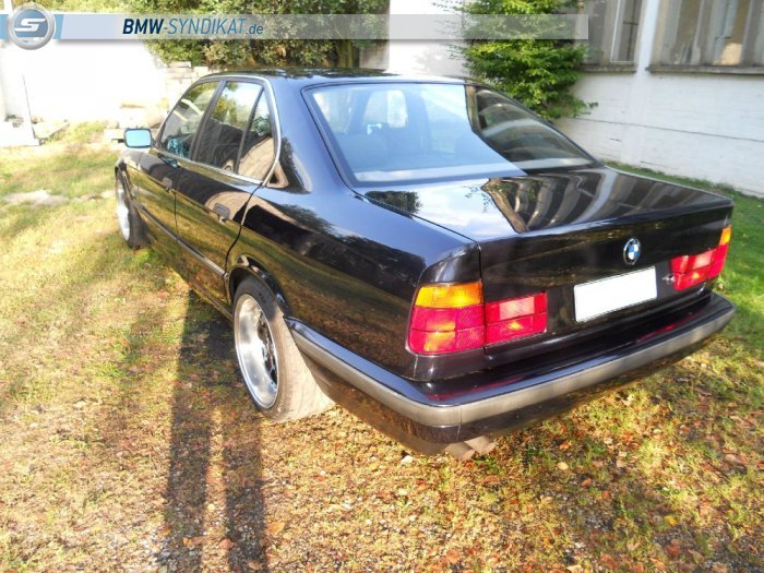 E34, 540i 6-Speed Story berarbeitet - 5er BMW - E34