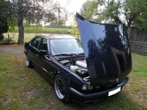 E34, 540i 6-Speed Story berarbeitet - 5er BMW - E34