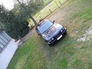 E34, 540i 6-Speed Story berarbeitet - 5er BMW - E34