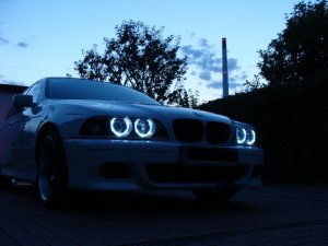 Neues von,,White Venom'' nach langer Zeit - 5er BMW - E39