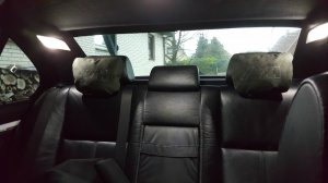 Neues von,,White Venom'' nach langer Zeit - 5er BMW - E39