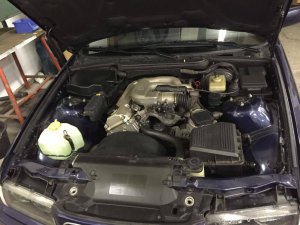 BMW E36 Compact - 3er BMW - E36 BMW E36 Compact - 3er BMW - E36