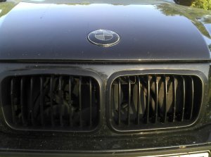BMW 323i E36 "Black Edition" - 3er BMW - E36