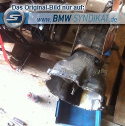 BMW E30 327i 220PS 5 Loch Umbau - 3er BMW - E30 BMW E30 327i 220PS 5 Loch Umbau - 3er BMW - E30