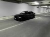 BMW M3 Black Edition + Neu Video - 3er BMW - E46 - 483208_10150975510661958_2138478401_n.jpg