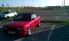 Mein Roter und Lucy - 3er BMW - E30 - E30 B-MW 1497.jpg