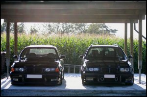 E36 M3 3.0 Belgium - 3er BMW - E36