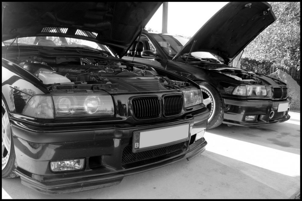 E36 M3 3.0 Belgium - 3er BMW - E36