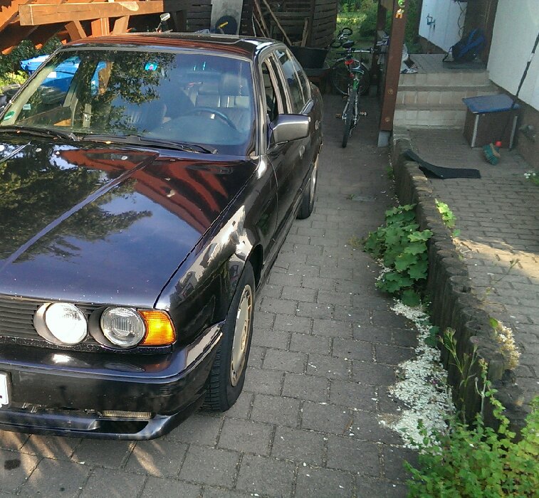e34 525i 24v - 5er BMW - E34
