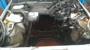 E34 520i + Motor Upgrade - 5er BMW - E34