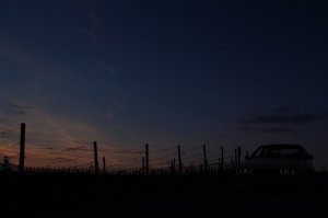 318ti OZ Ultraleggera 18" - 3er BMW - E36