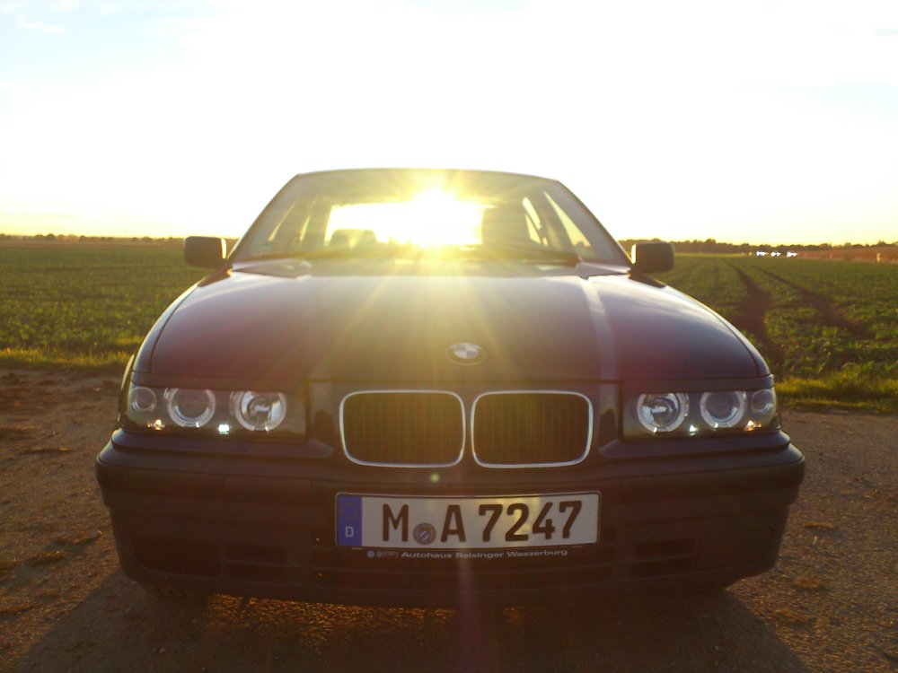 Viel BMW fr ganz wenig Geld :) E36 316i - 3er BMW - E36