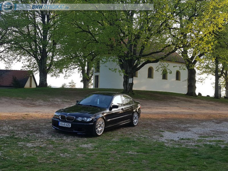 E46 320i Limo Restauration - 3er BMW - E46