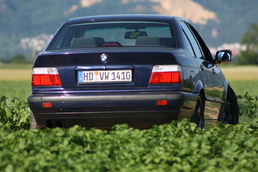 E36 Projekt - 3er BMW - E36