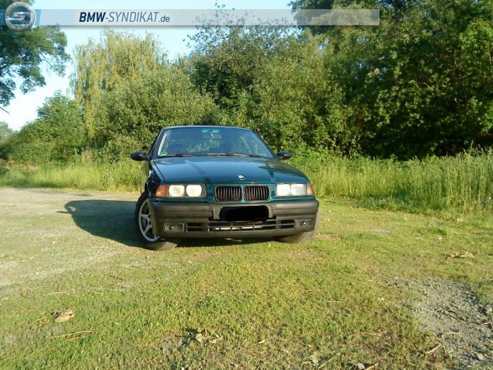 E36, 316i Compact Boston - 3er BMW - E36