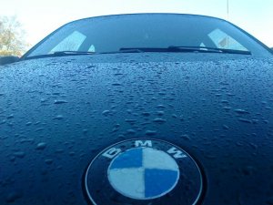 E36, 316i Compact Boston - 3er BMW - E36