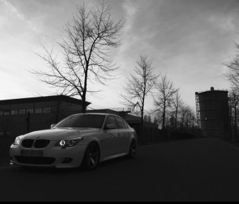 BMW "White Shark" 530i LCI - 5er BMW - E60 / E61