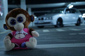 E39 525d Touring aus 01/2003 - 5er BMW - E39