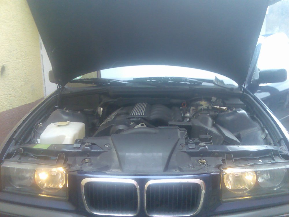 BMW 323ti "Neu Aufbau" - 3er BMW - E36