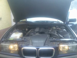 BMW 323ti "Neu Aufbau" - 3er BMW - E36
