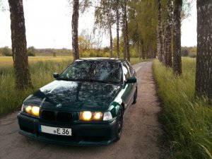 ilse, 323i bostongrn - 3er BMW - E36