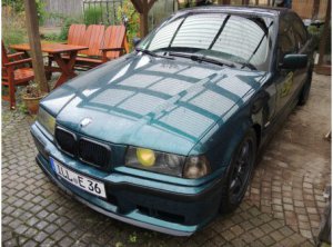 ilse, 323i bostongrn - 3er BMW - E36