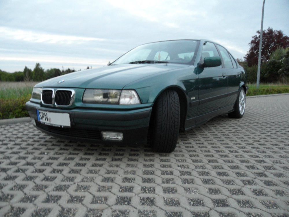 318i - Schlicht und Elegant - 3er BMW - E36