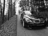 elegance' - 5er BMW - E60 / E61 - image.jpg