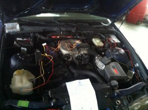 BMW e36 316i Compact - 3er BMW - E36