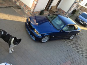 328i cabrio Avusblau - 3er BMW - E36