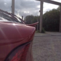 318 ti M-Paket *Jetzt Bilder mit neuem Fahrwerk* - 3er BMW - E46