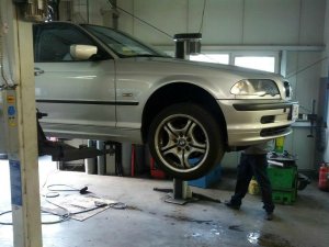 E46 320 Huggy Bear - 3er BMW - E46