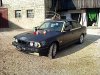 "EX" Winterbock 520i - 5er BMW - E34 - 1290861086605.jpg