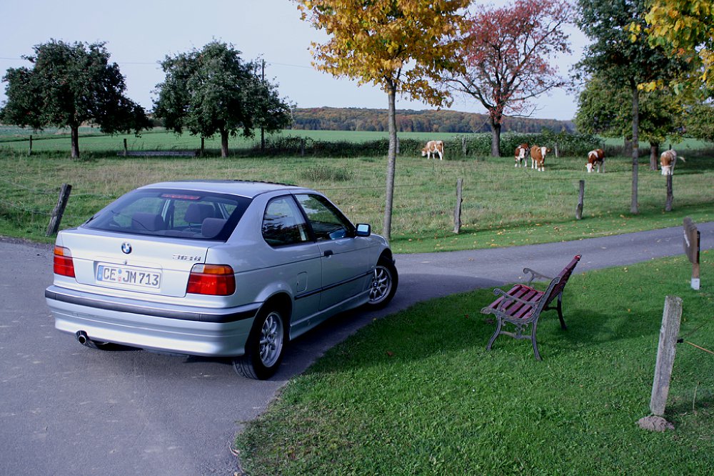 BMW 318ti - OEM Style - 3er BMW - E36
