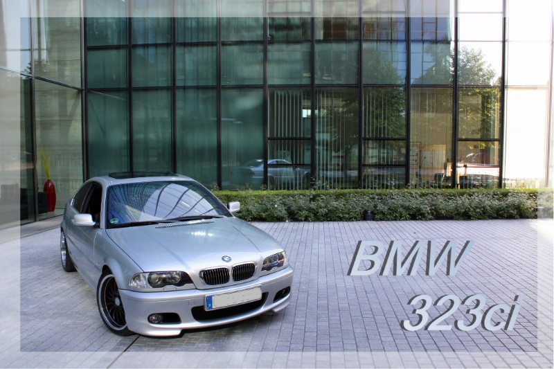 RacingSchlumpfs 323ci - 3er BMW - E46