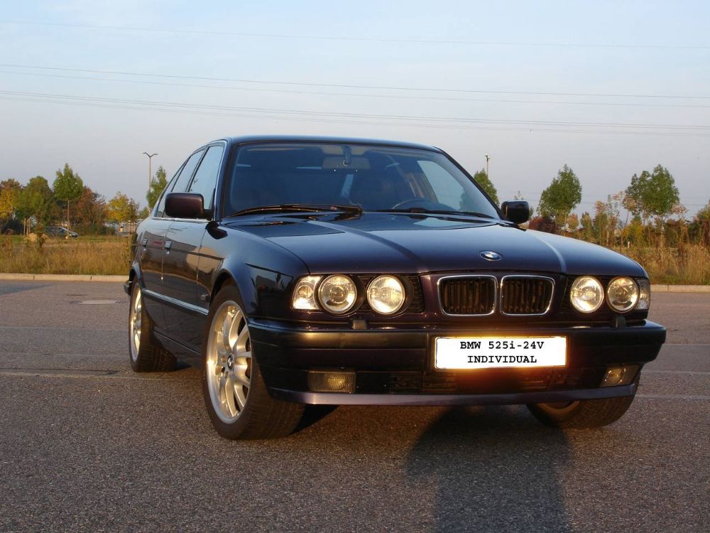Beginner198s   E34, 525i technoviolett metallic - 5er BMW - E34