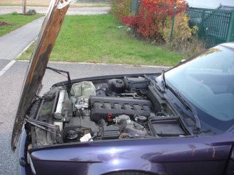 Beginner198s   E34, 525i technoviolett metallic - 5er BMW - E34