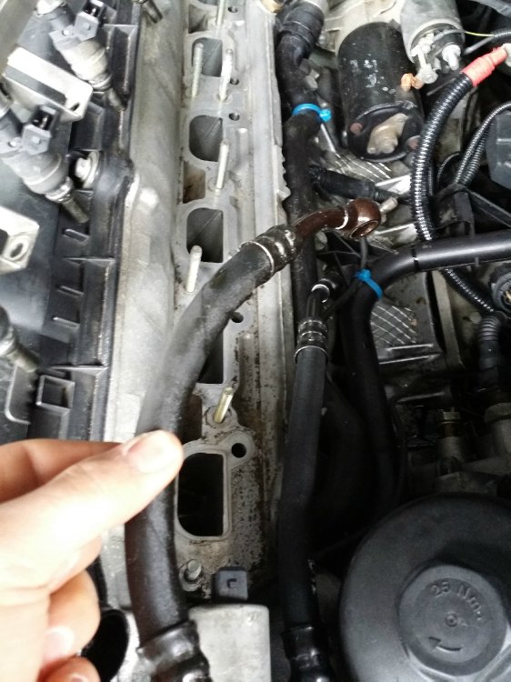 e46 OEM QP TopasBlue - 3er BMW - E46