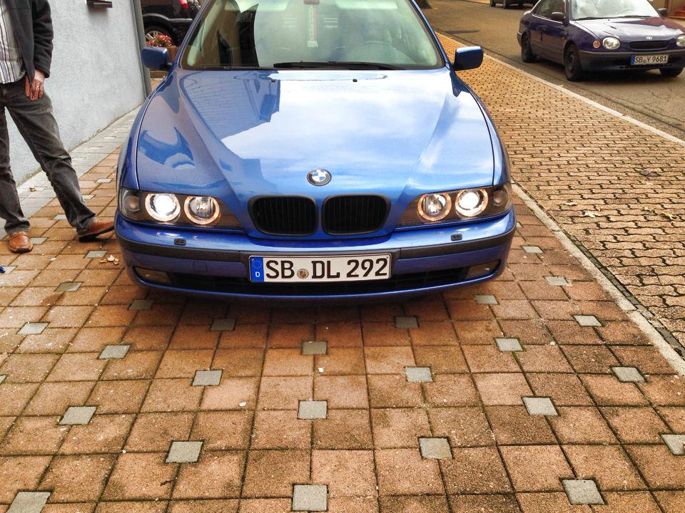 Blueberry yum yum - 5er BMW - E39