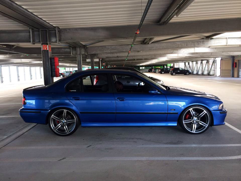 Blueberry yum yum - 5er BMW - E39