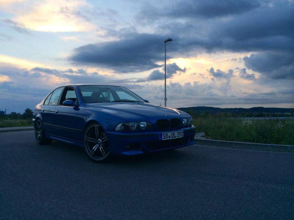 Blueberry yum yum - 5er BMW - E39